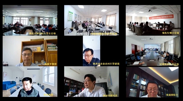 会议现场2_副本.jpg