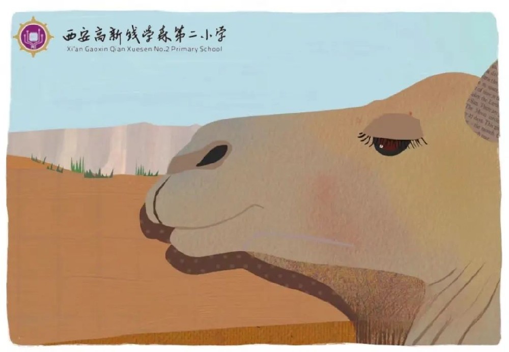 睡前故事｜驼峰的用处